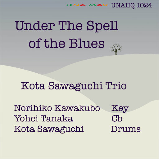 86178cc改名后叫什么
