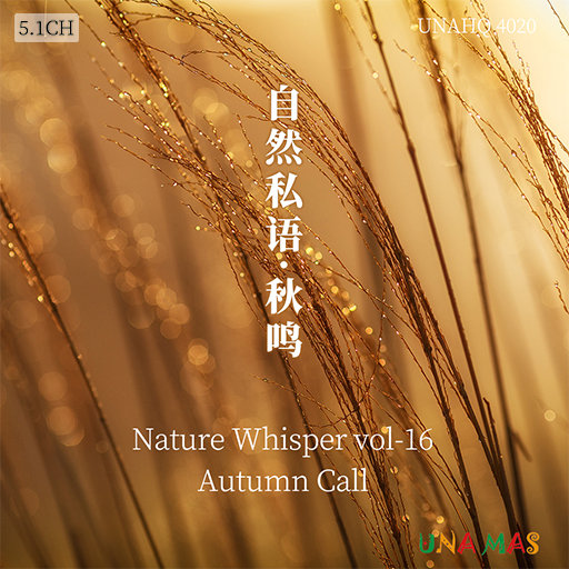 86178cc改名后叫什么
