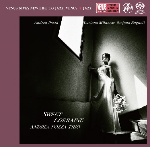 86178cc改名后叫什么
